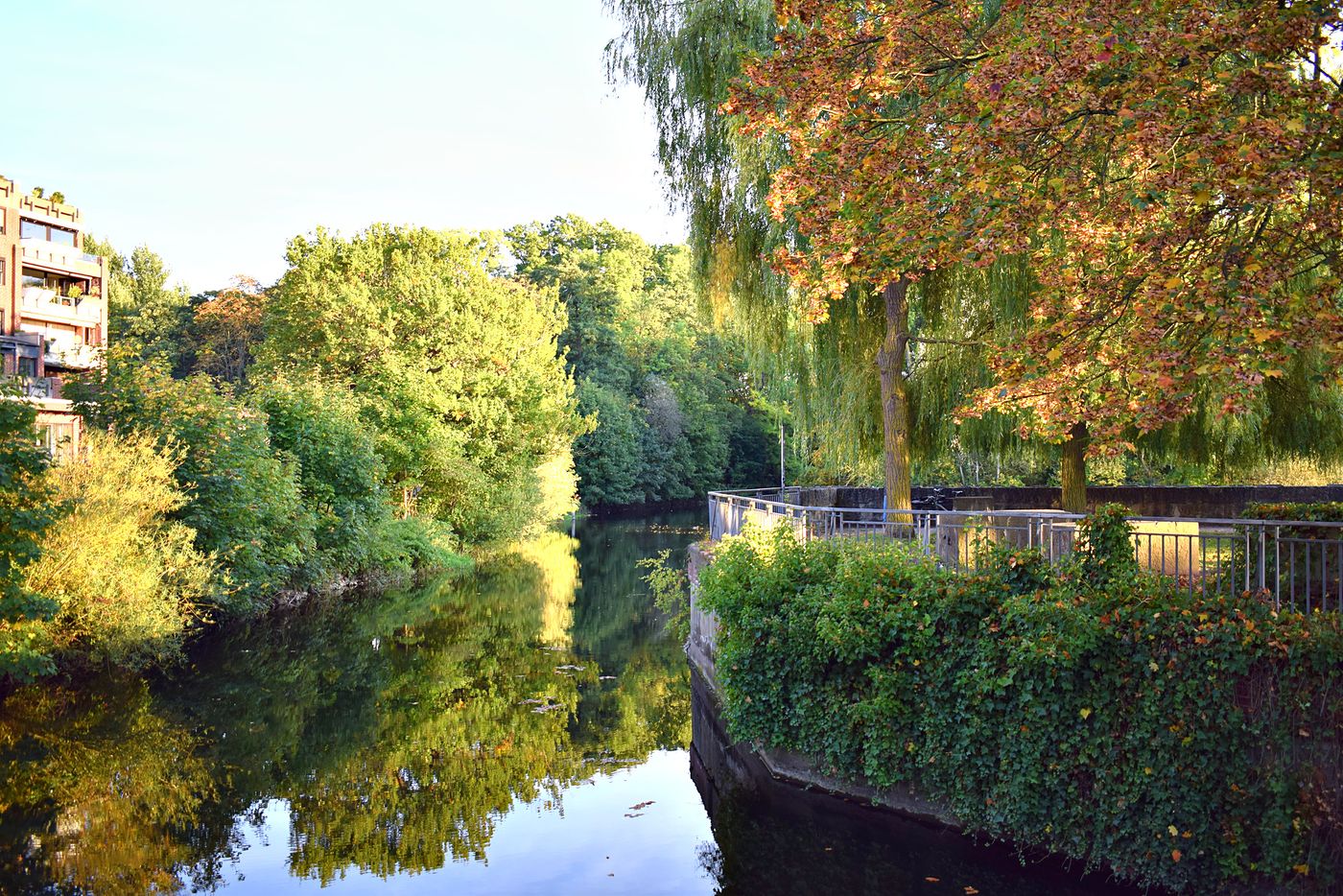 Flussufer an der Leineinsel